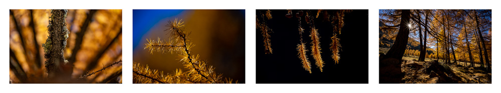 Platz 4 Robert Seitz